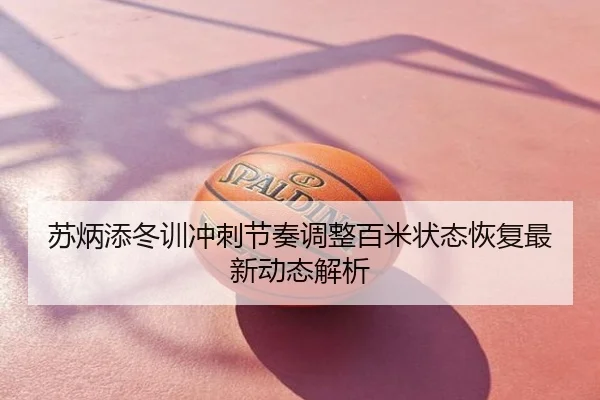 苏炳添冬训冲刺节奏调整百米状态恢复最新动态解析