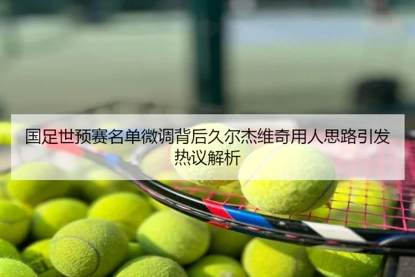 国足世预赛名单微调背后久尔杰维奇用人思路引发热议解析